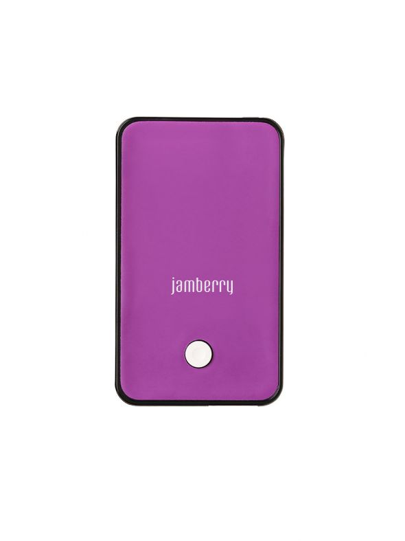Jamberry Mini-Heater